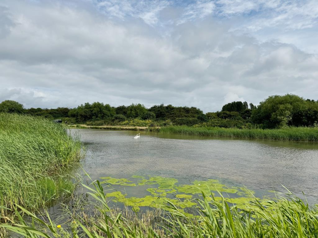 Lot: 163 - APPROXIMATELY NINE ACRES LAND INCORPORATING FLIGHT POND IN IDYLLIC LOCATION - View of flight pond 4
